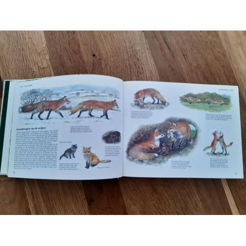 Readers digest