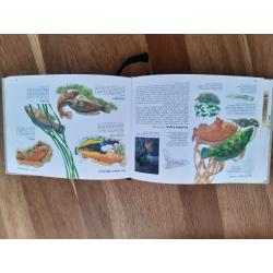 Readers digest
