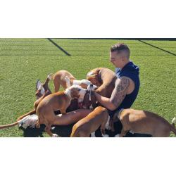 Posavina Brak pups (Posavski Gonic)
