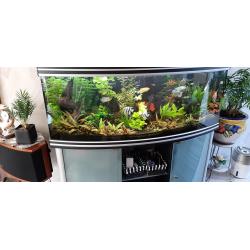 Aquarium aqualantis