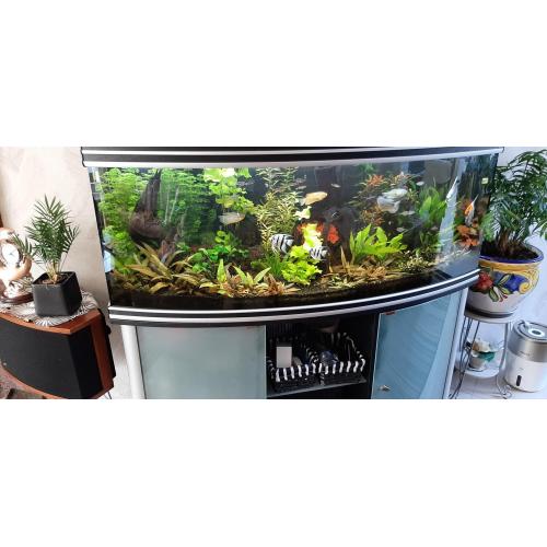 Aquarium aqualantis