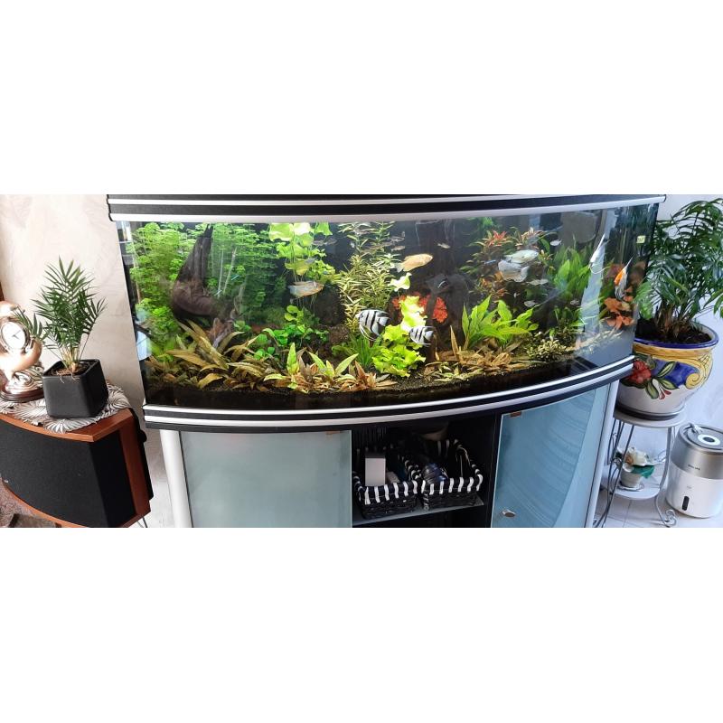 Aquarium aqualantis