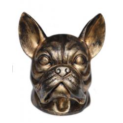 Urn Franse buldog.