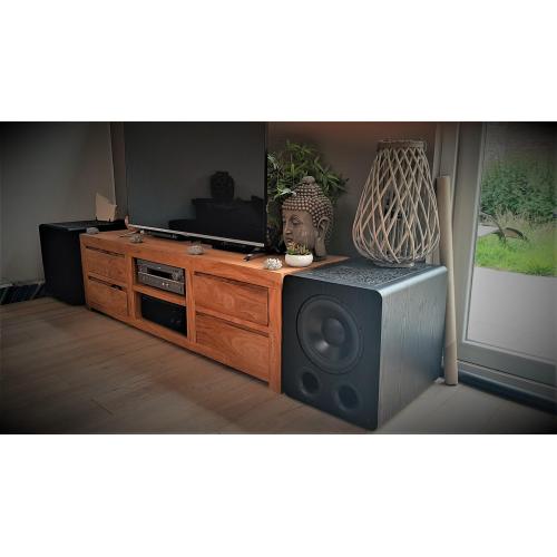 Actieve subwoofer SVS PB-2000 550W rms