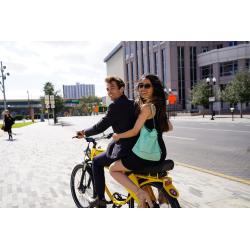 NIEUW Duo e-bike Lohner
