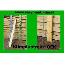 KLIMPLANTEN op terras tegen tuinschermen en tuinschuttingen