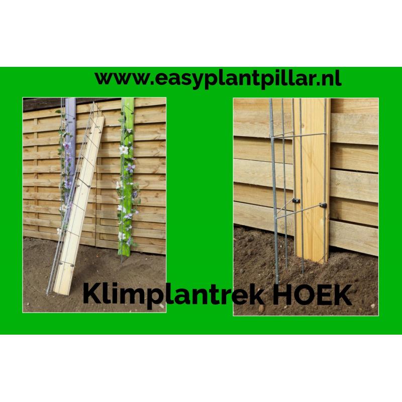 KLIMPLANTEN op terras tegen tuinschermen en tuinschuttingen