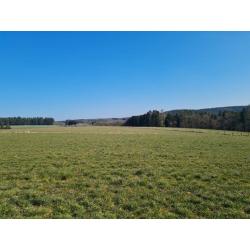 Mierchamps: Bouwgrond VAS1375A