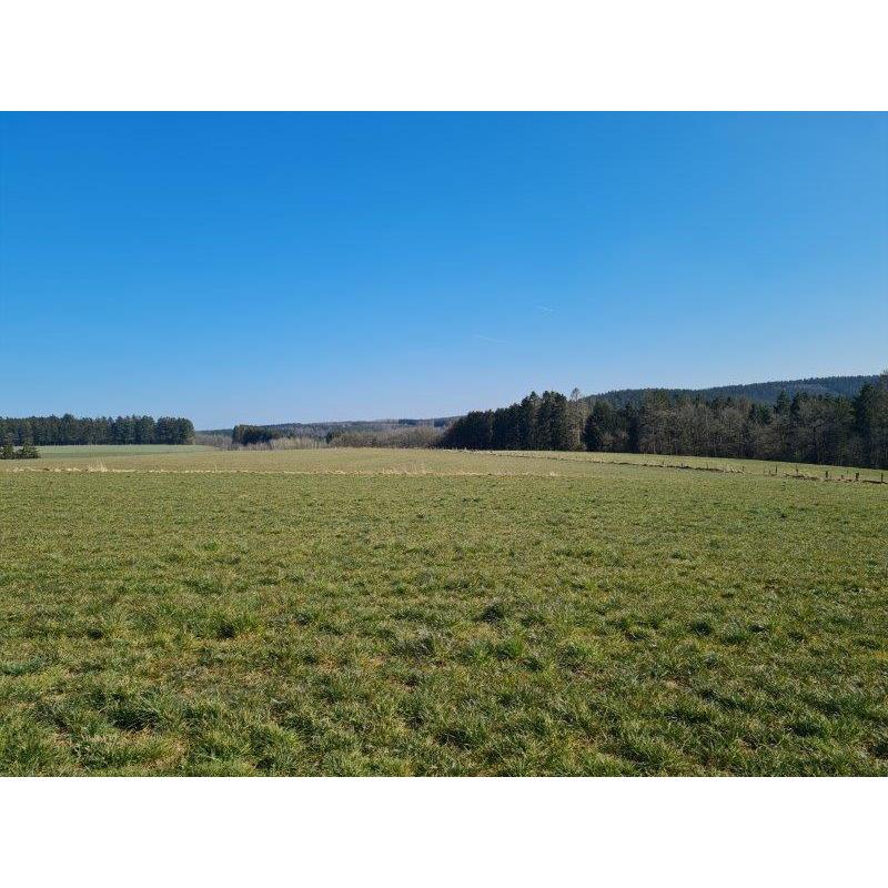 Mierchamps: Bouwgrond VAS1375A