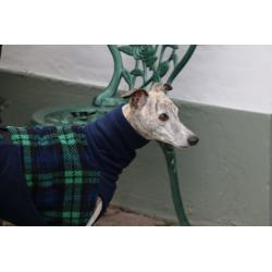 Warm jasje voor een windhond - whippet