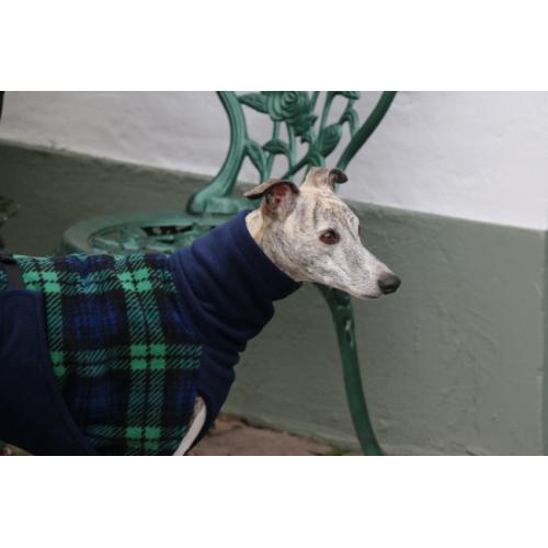 Warm jasje voor een windhond - whippet