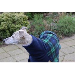 Warm jasje voor een windhond - whippet