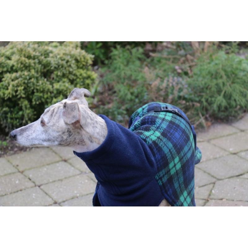Warm jasje voor een windhond - whippet