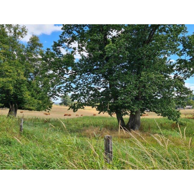 MAISSIN: zeer mooi gelegen bouwgrond, 51a 42ca – VAS1332C