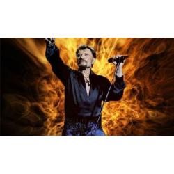 Johnny Hallyday intégrale Guitare 40 CD collection