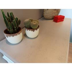Nieuwe Gerestaureerde Muntgroene Dressoir in Hardhout