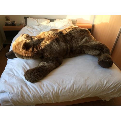Levensechte beer Sigikid 170cm