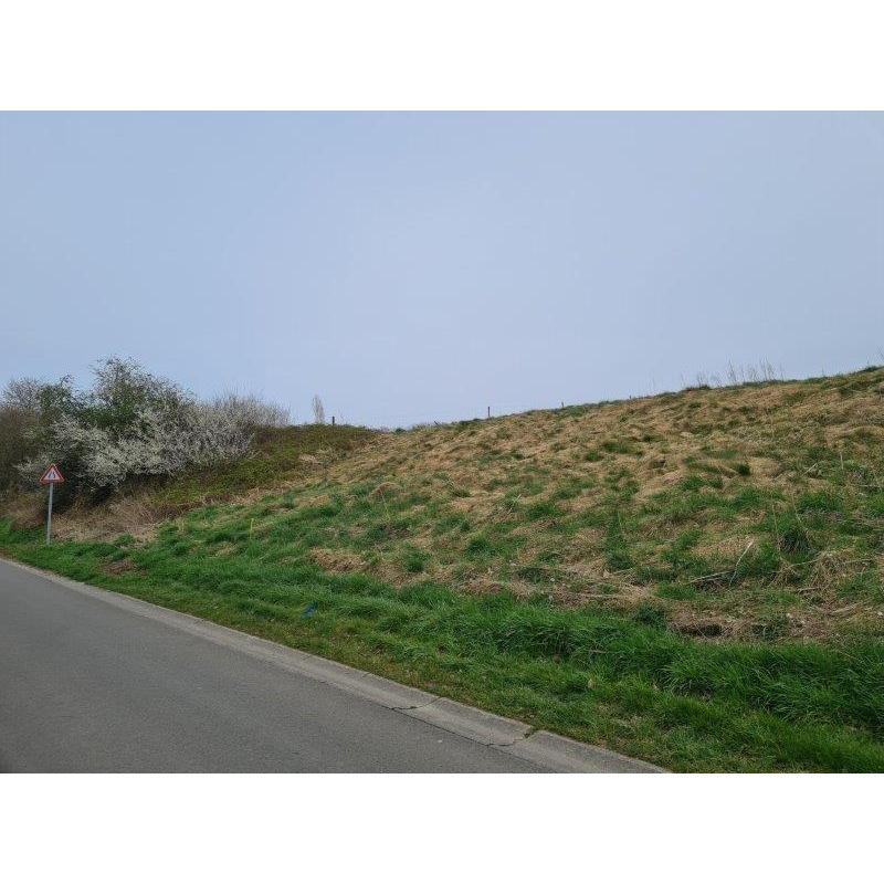 HAILLOT: bouwgrond, 19a41ca – VAS1328