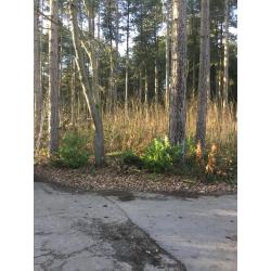 Grond te koop hoekperceel 960m