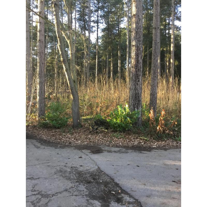 Grond te koop hoekperceel 960m