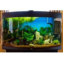 Aquarium Juwel vision 180 zwart met onderkast