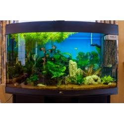 Aquarium Juwel vision 180 zwart met onderkast