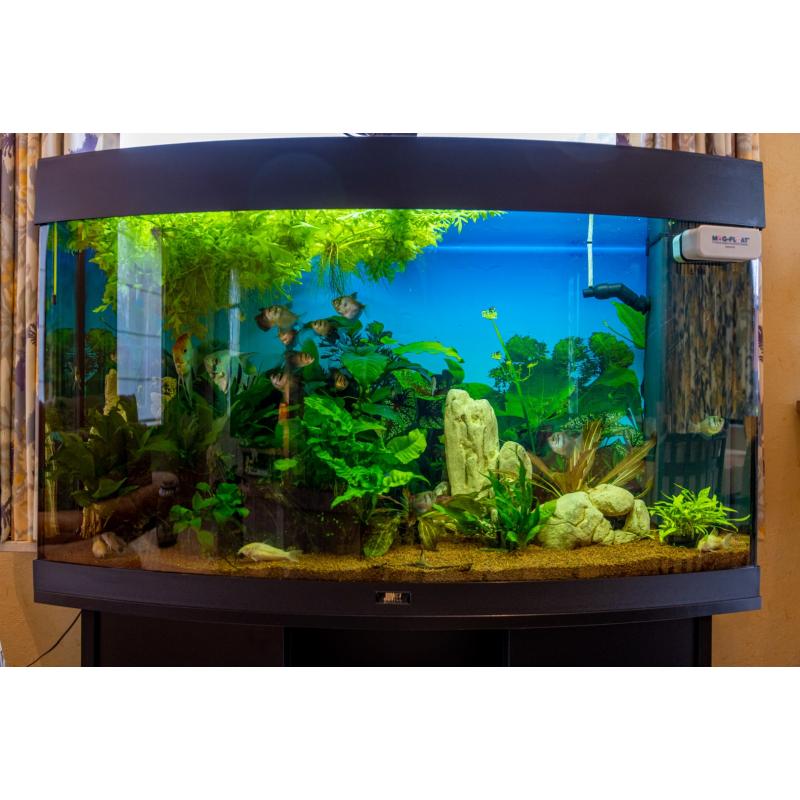 Aquarium Juwel vision 180 zwart met onderkast