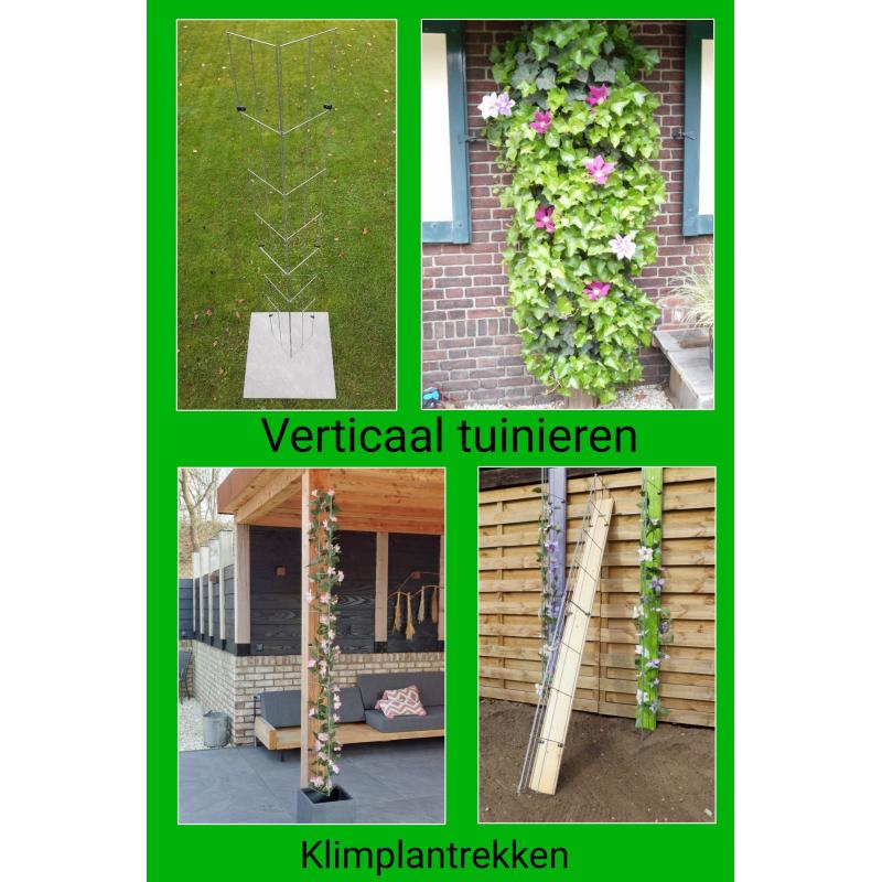 Beplanting langs staanders van een overkapping leiden.