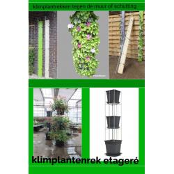 Beplanting langs staanders van een overkapping leiden.