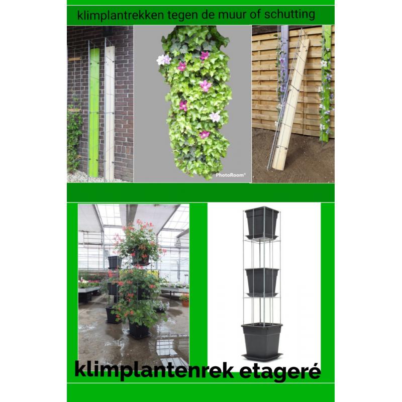 Beplanting langs staanders van een overkapping leiden.