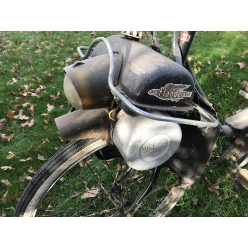 Flandria vedette