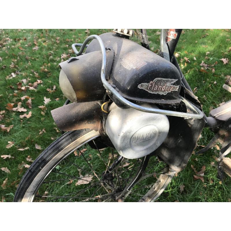 Flandria vedette