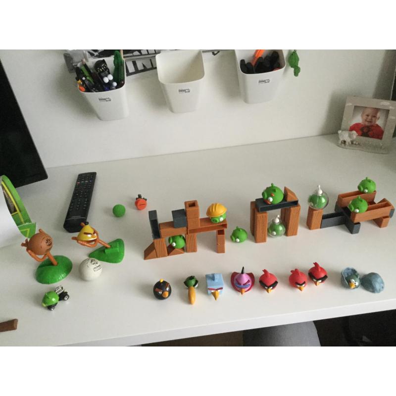 Angry bird