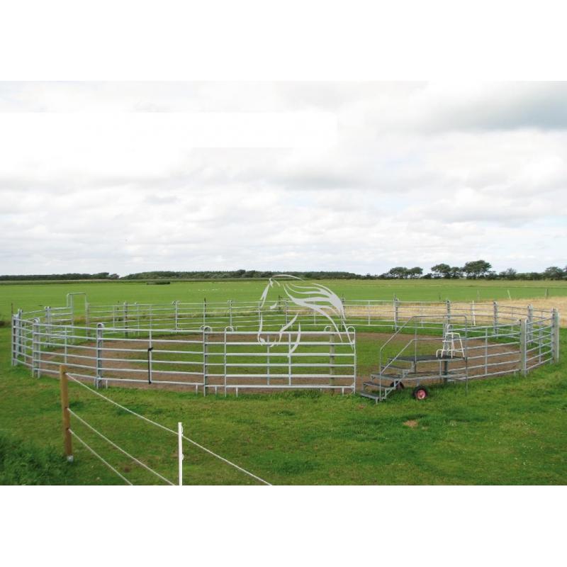 Veld Omheiningen, Longeercirkel, Omheining, Texas panelen