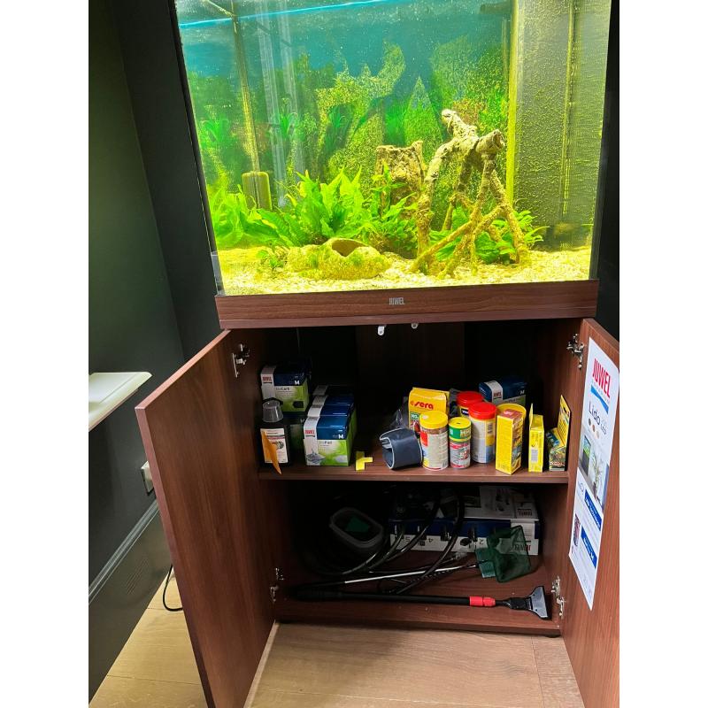 Aquarium