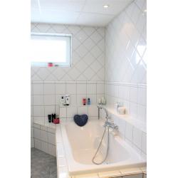 Appartement te huur in Dendermonde (St. Gillis bij Dendermonde)