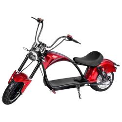 Electrische scooter Green-Rider Biker 25/45