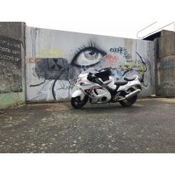 Suzuki hayabusa