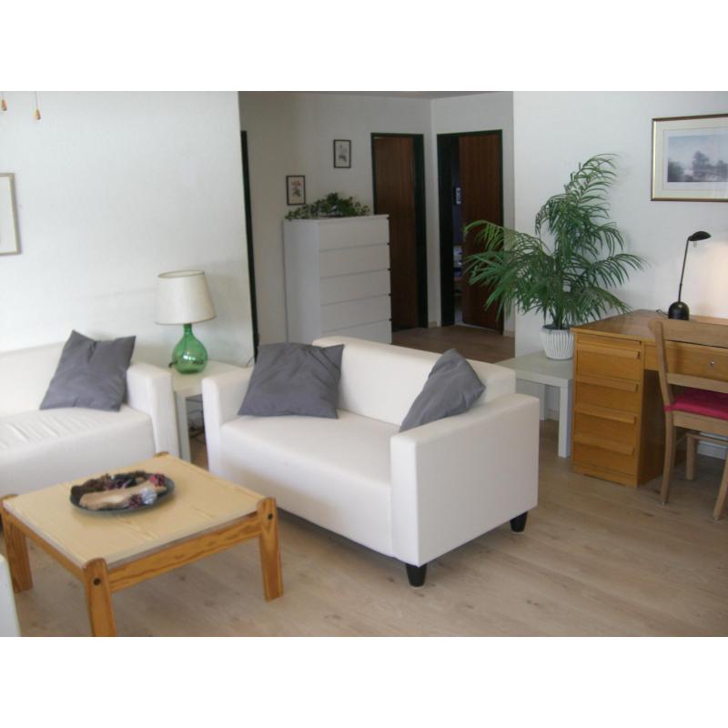 ZWITSERLAND APPARTEMENT DIANA: GEZELLIG, ZONNIG & COMFORTABEL APPARTEMENT TE HUUR IN DE ZWITSERSE ALPEN (WALLIS)