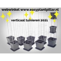 PLANTREKKEN voor tomatenplanten tomaten