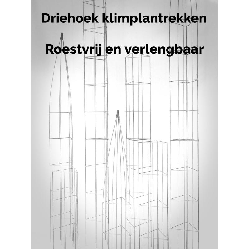 PLANTREKKEN voor tomatenplanten tomaten