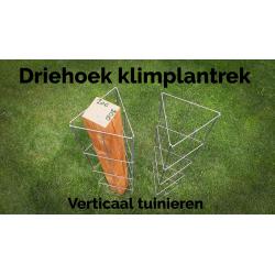PLANTREKKEN voor tomatenplanten tomaten