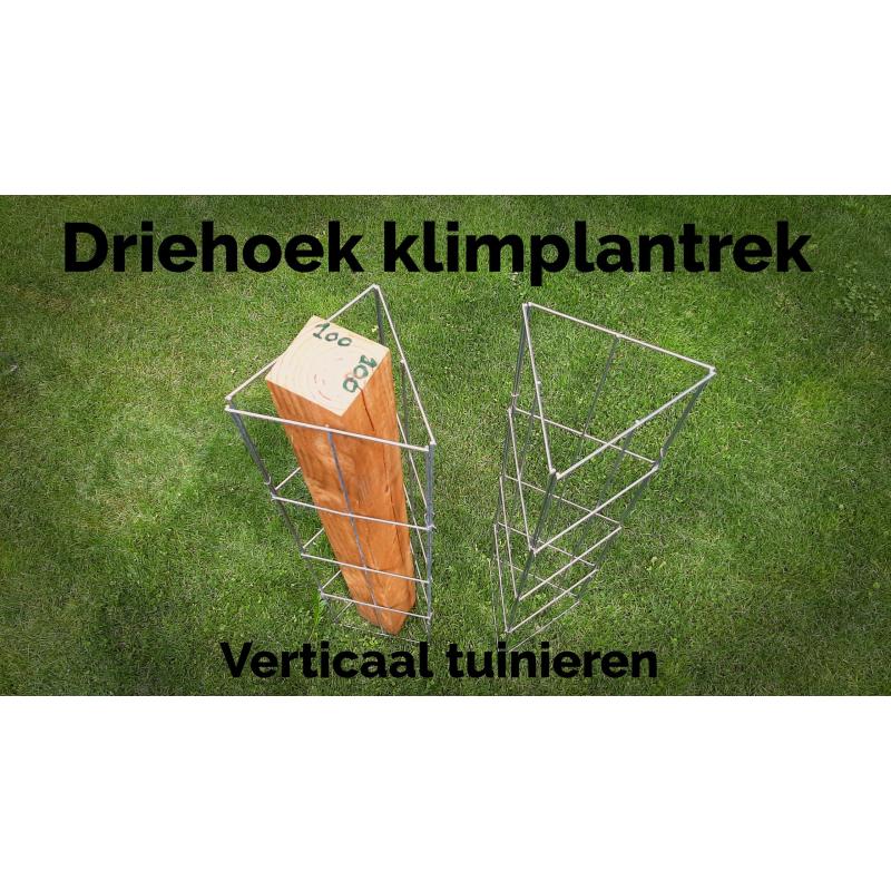 PLANTREKKEN voor tomatenplanten tomaten