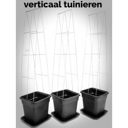 TOMATEN plantrekken plantenrekken voor tomatenplanten