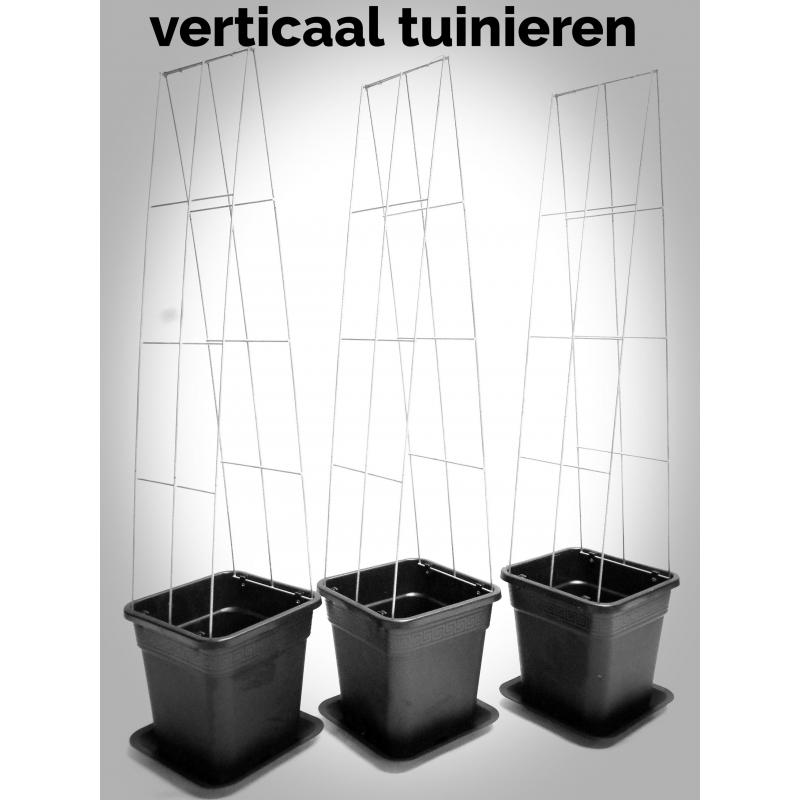 TOMATEN plantrekken plantenrekken voor tomatenplanten