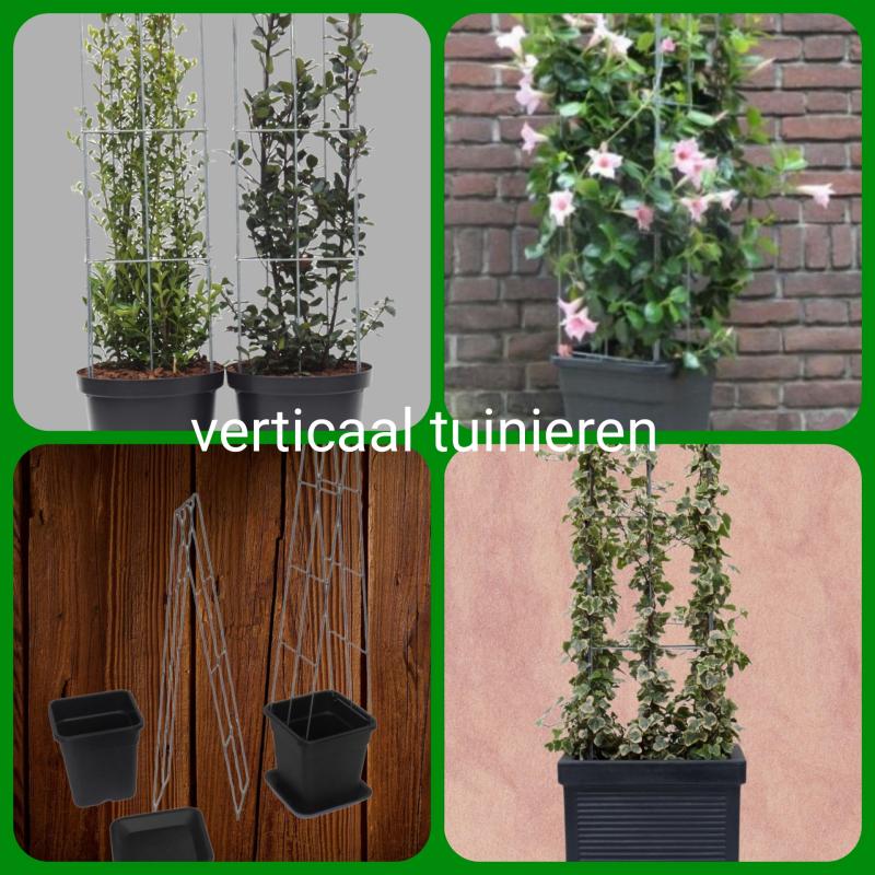 KLIMPLANTEN op terras tegen tuinschermen en tuinschuttingen
