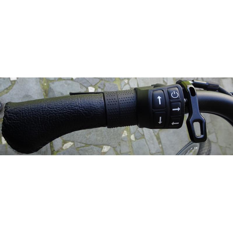 Damesfiets Batavus Wayz E-Go Elektrisch