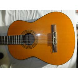 Fraaie harimu akoestische gitaar