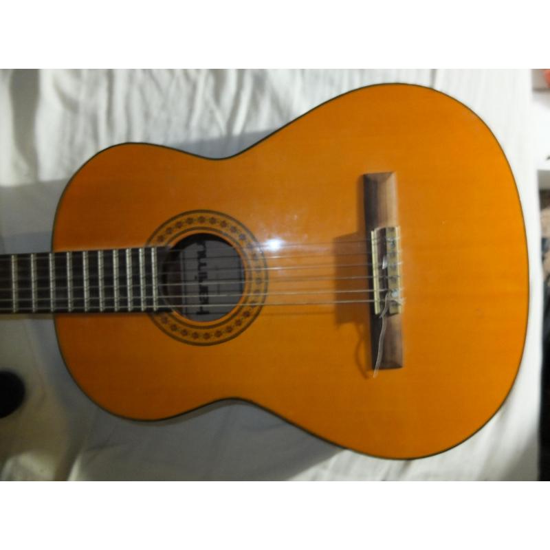 Fraaie harimu akoestische gitaar