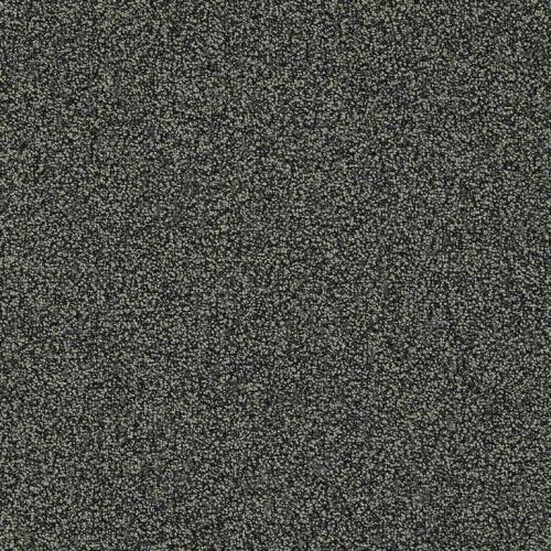 Antraciet Dolomite Aventurine Tapijttegels van Interface